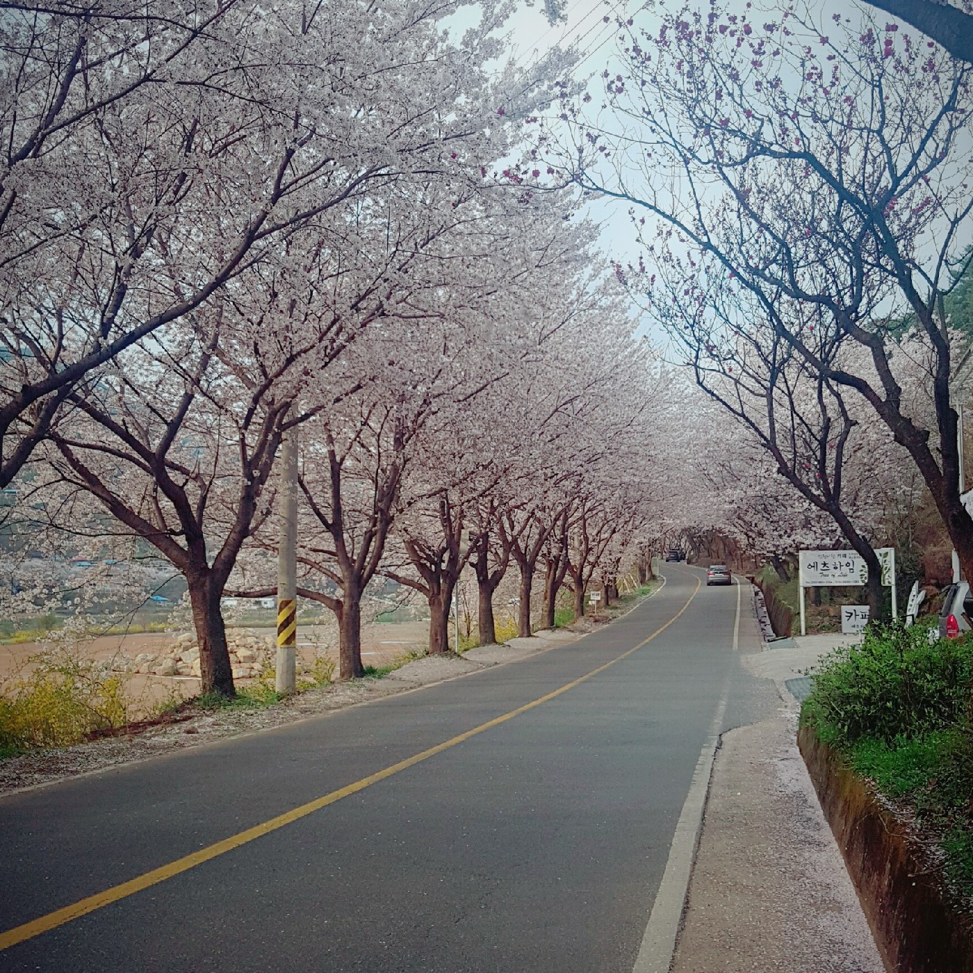 가을로 프로필