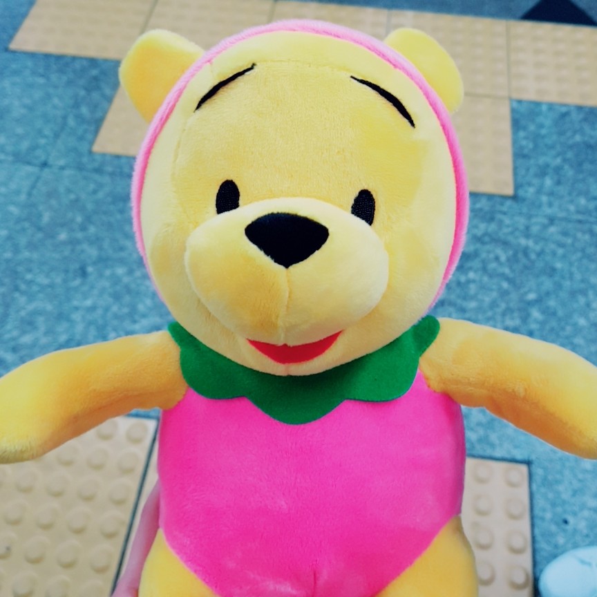 다빌 프로필