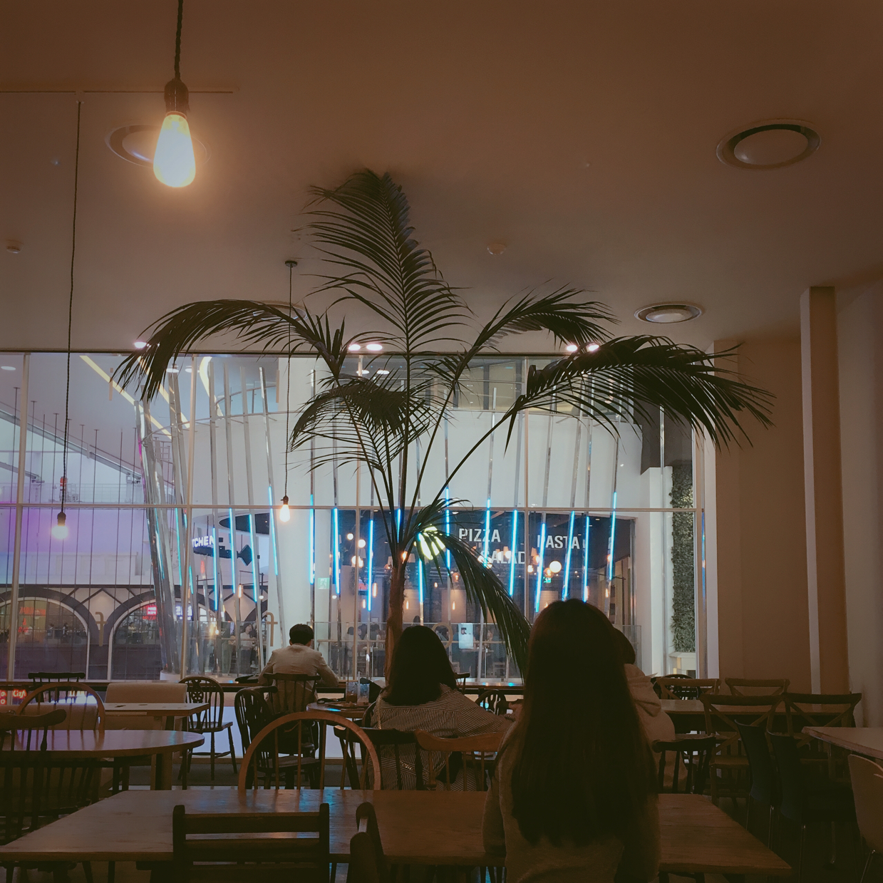 JMoMo 프로필
