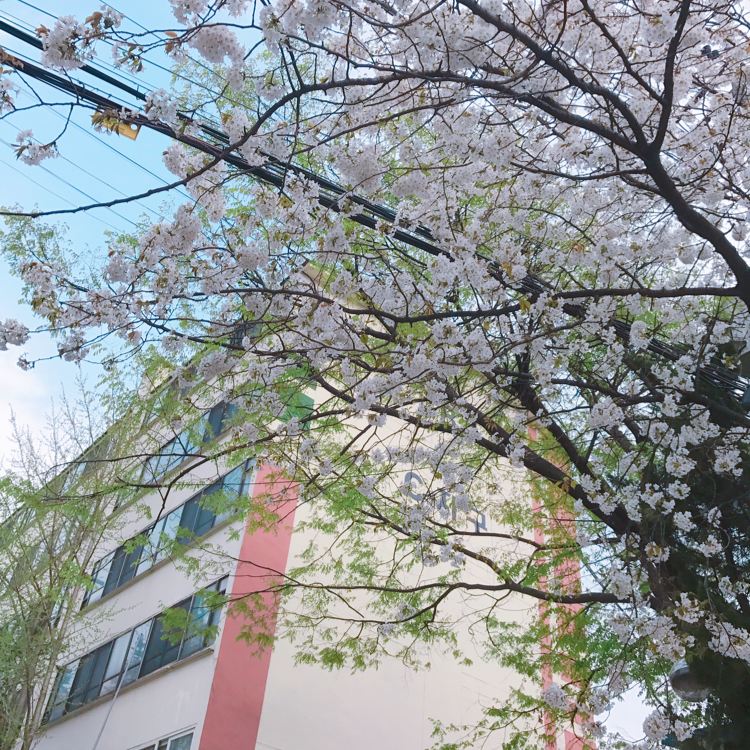 엄채연 프로필