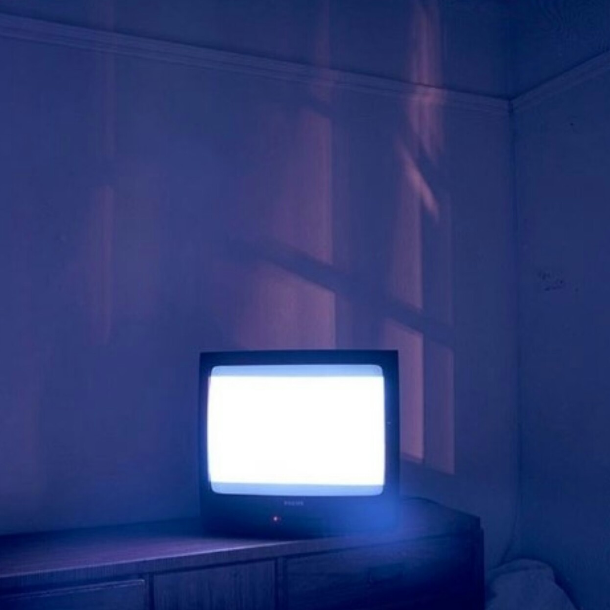 정하정 프로필