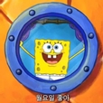 노빠꾸킵고잉