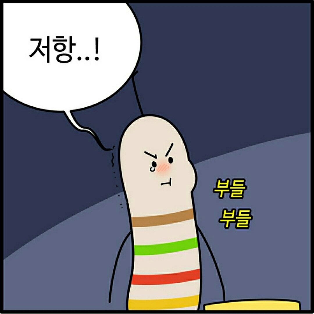 요니레 프로필
