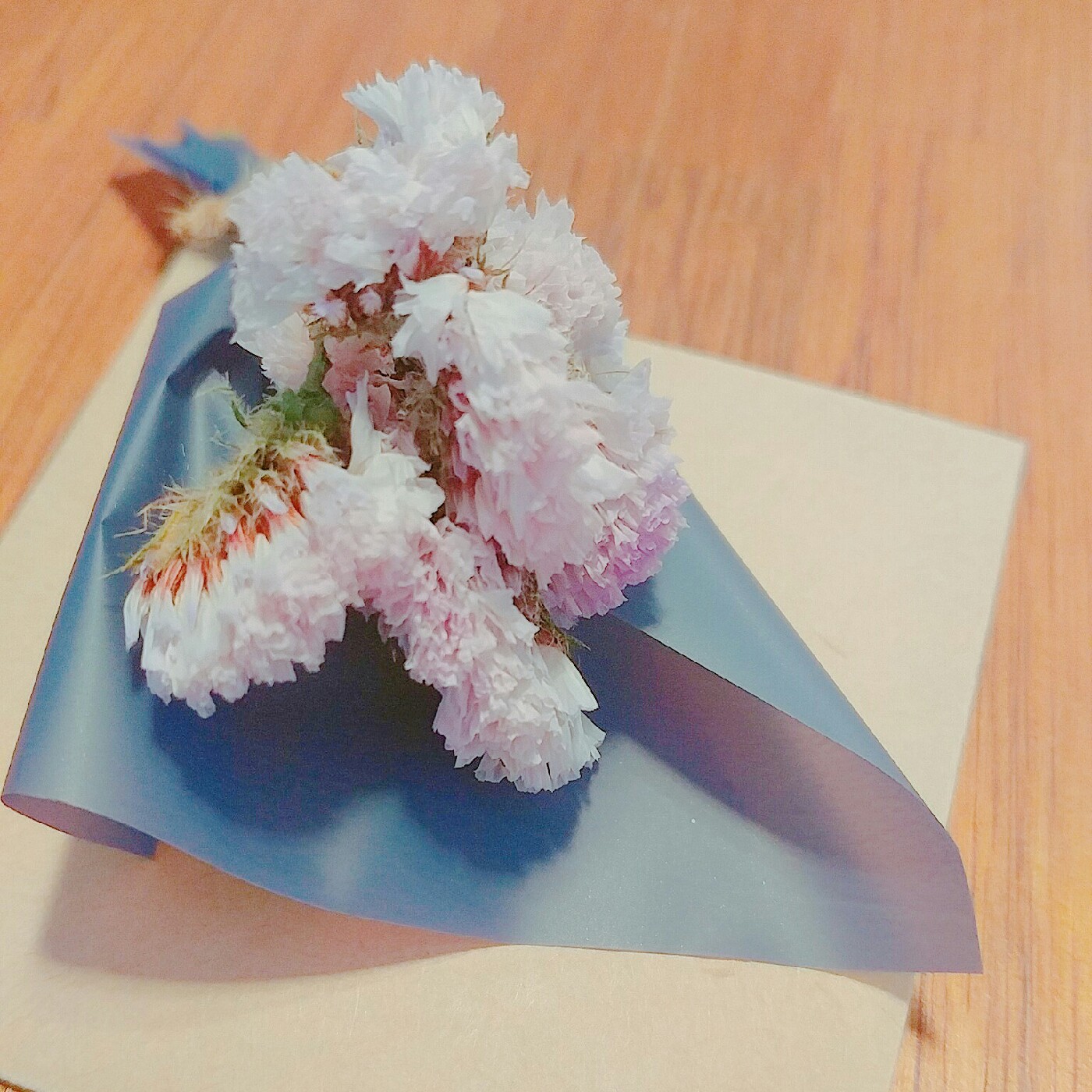 쪼아야 프로필