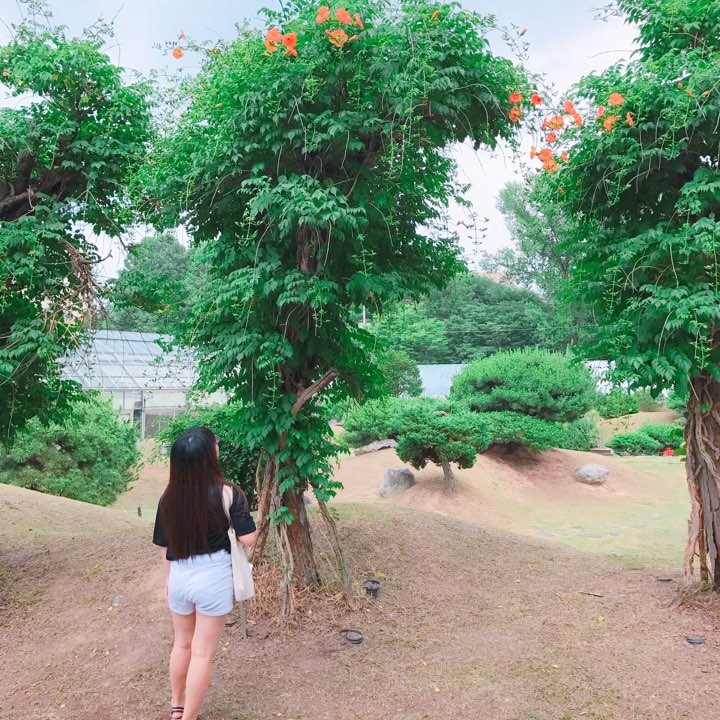 유채린 프로필