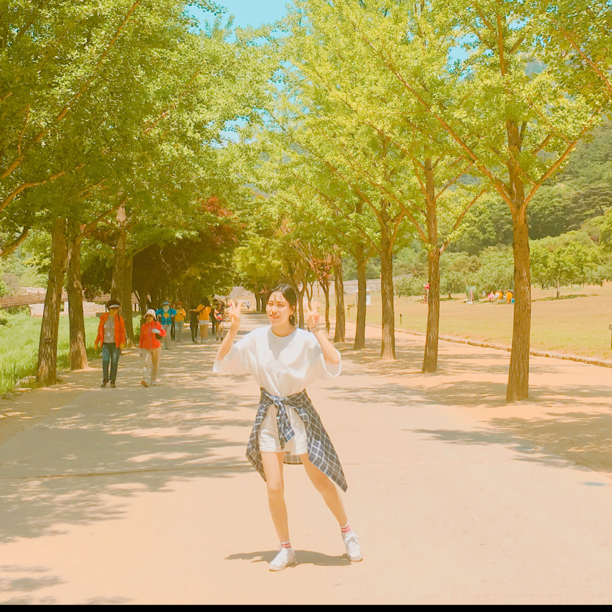 콜라코카 프로필