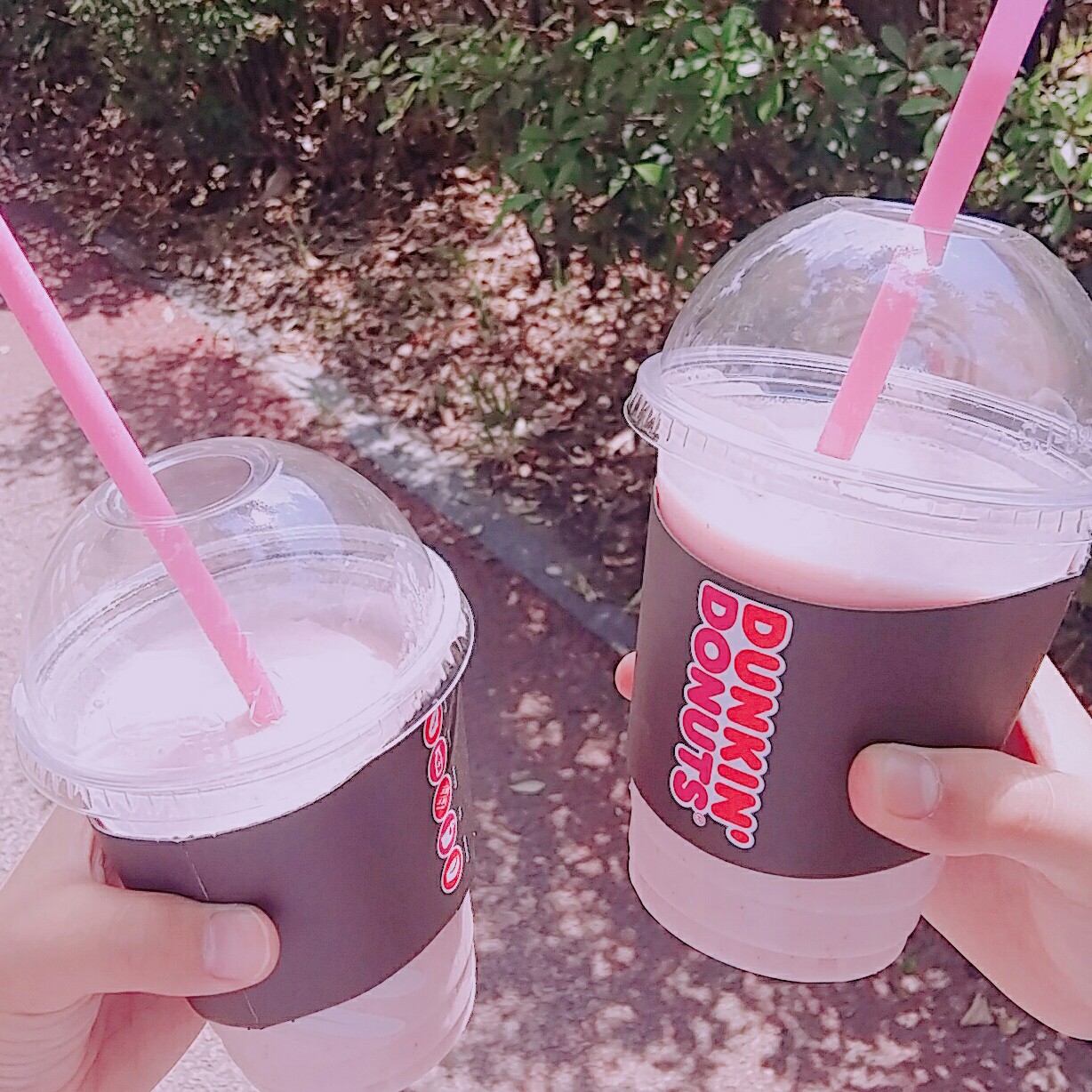 미ㅇ밍 프로필