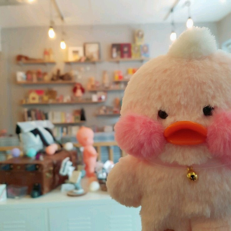 ddyej 프로필