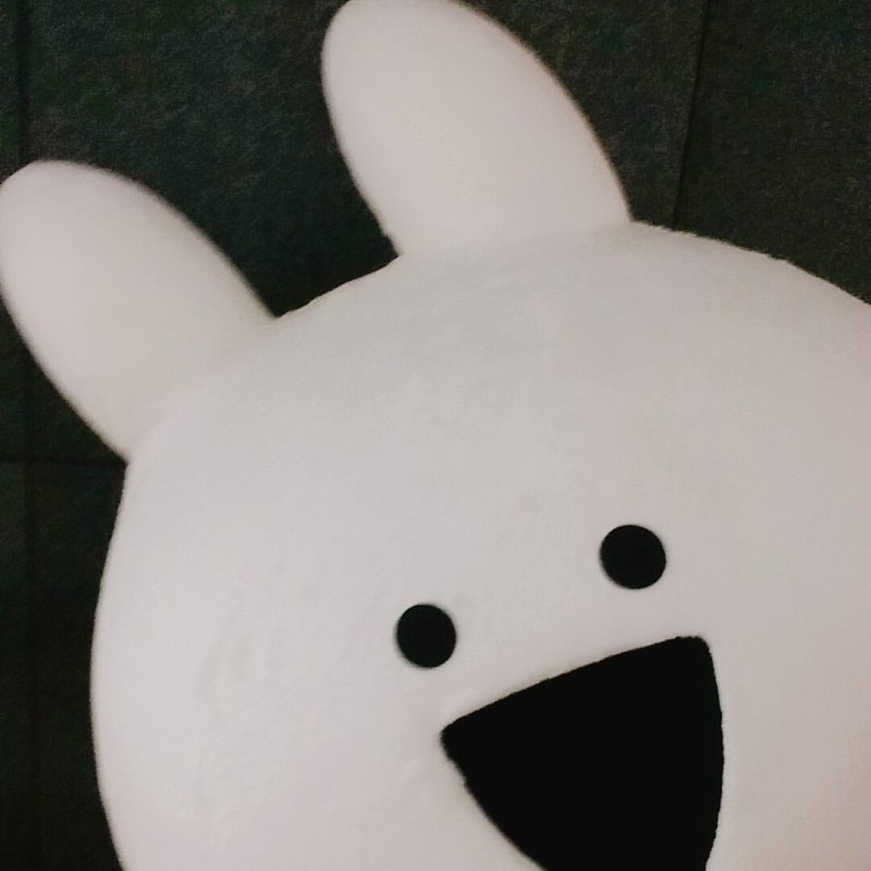 홍구양 프로필