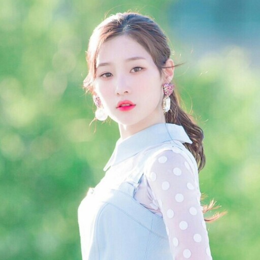 피치파르페 프로필