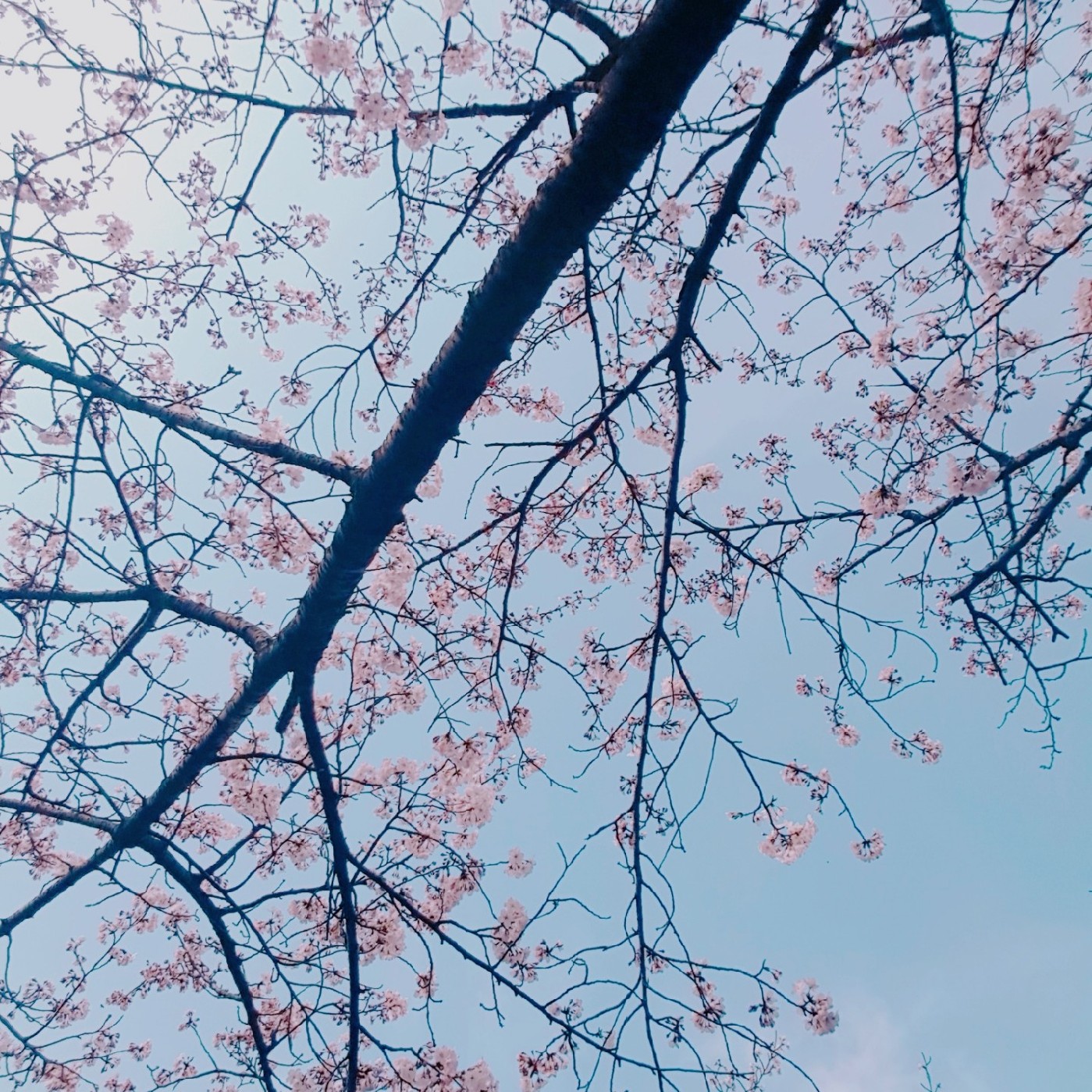 이뿡뿡 프로필