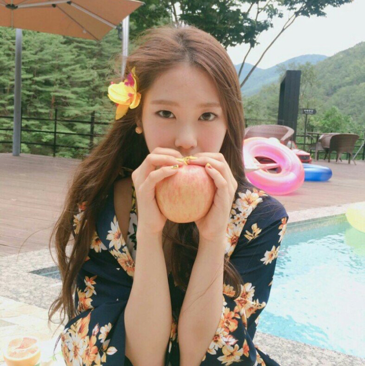 다식 프로필