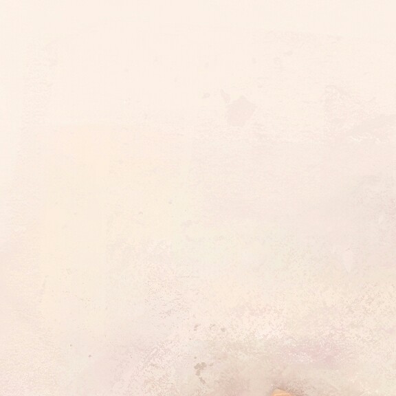 모린 프로필
