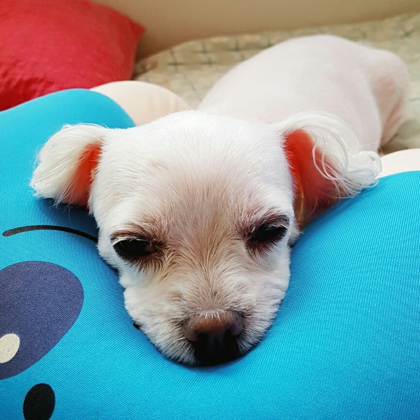 빡써니빡 프로필