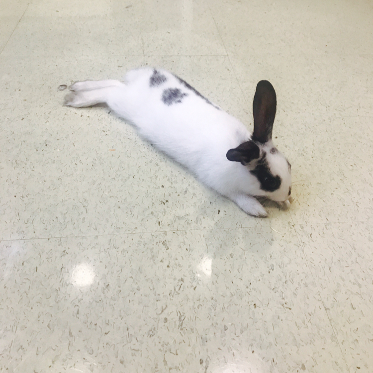 꾸꾸얌 프로필