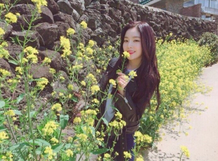 suzyy6 프로필