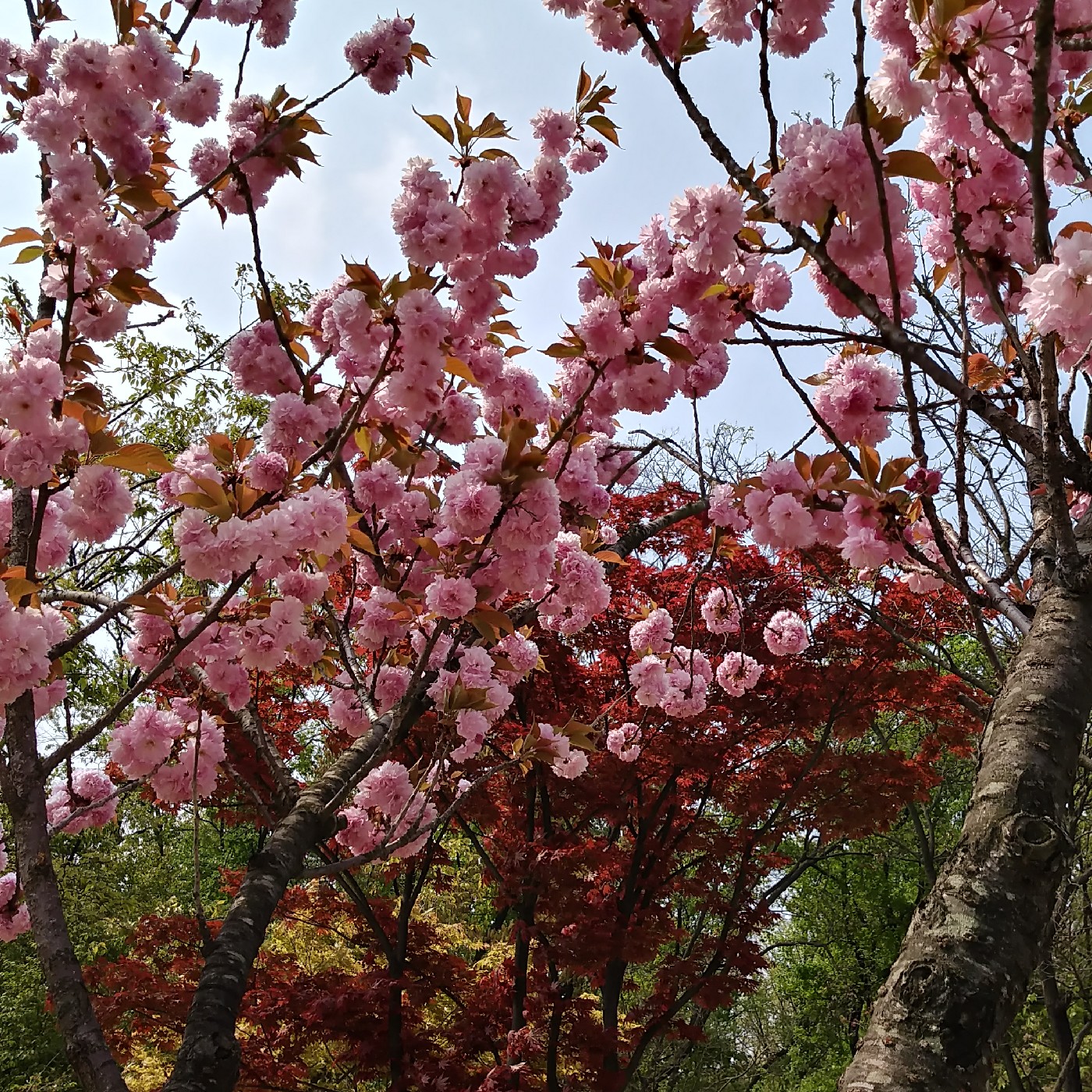 티제이 프로필