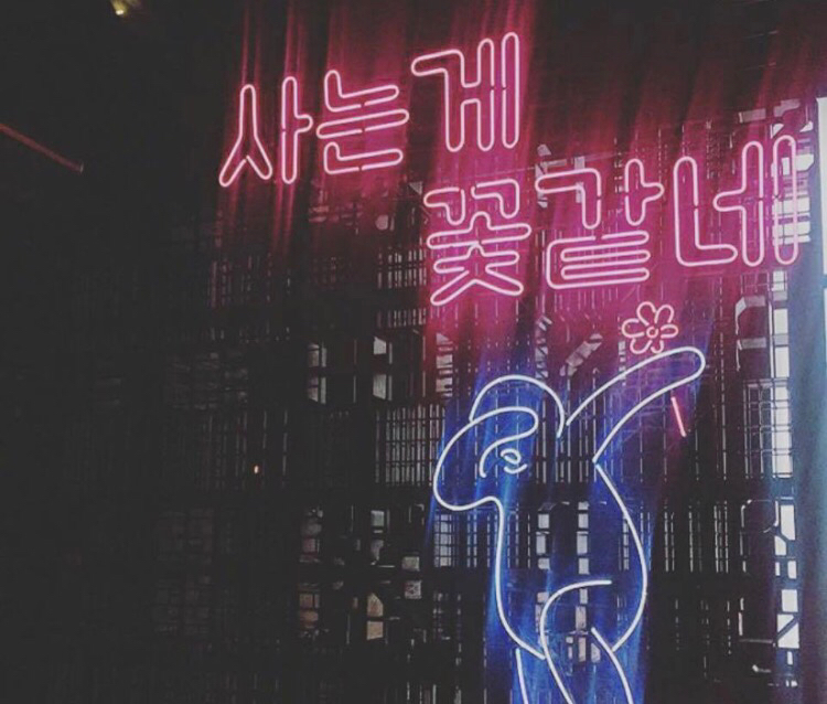 광주못난이 프로필