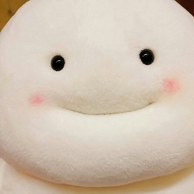 cuutae 프로필