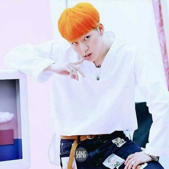 지코사랑해 프로필
