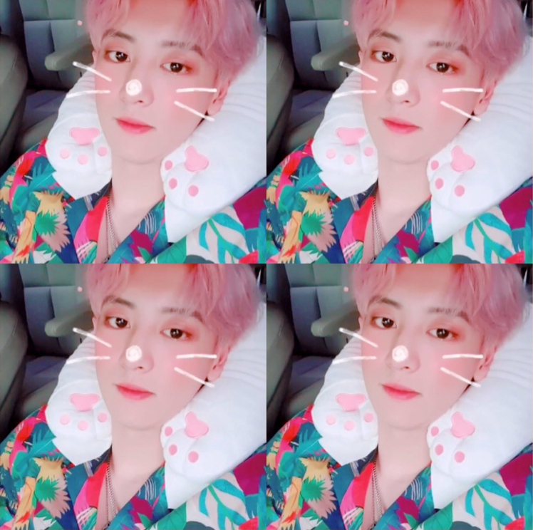 csmlee0920 프로필