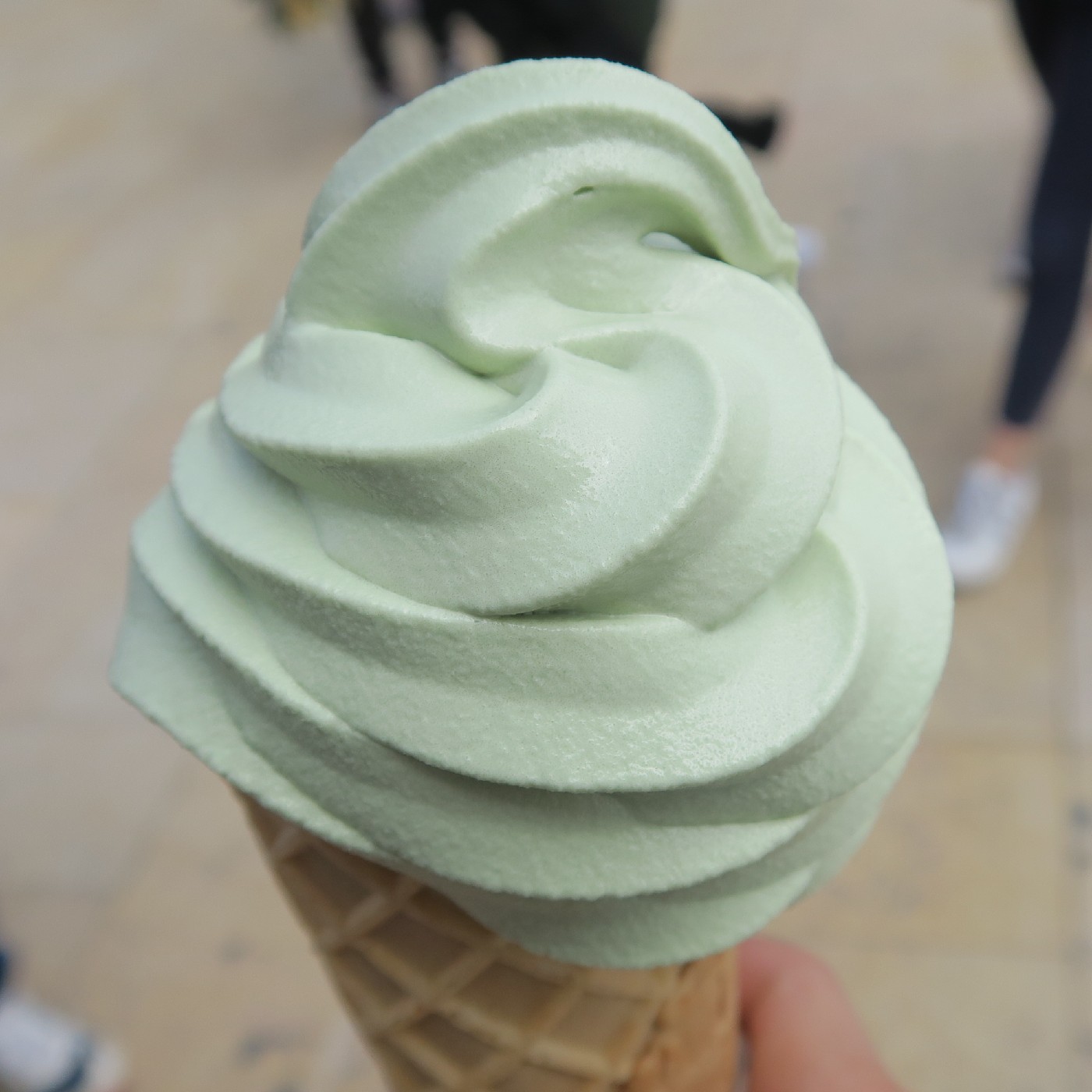 Y12 프로필