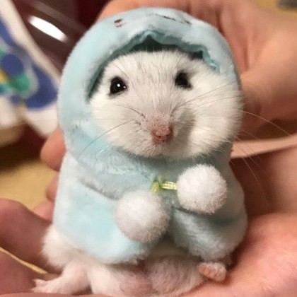 리뷰어 프로필