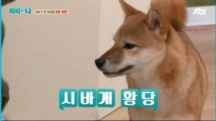 니코닠 프로필