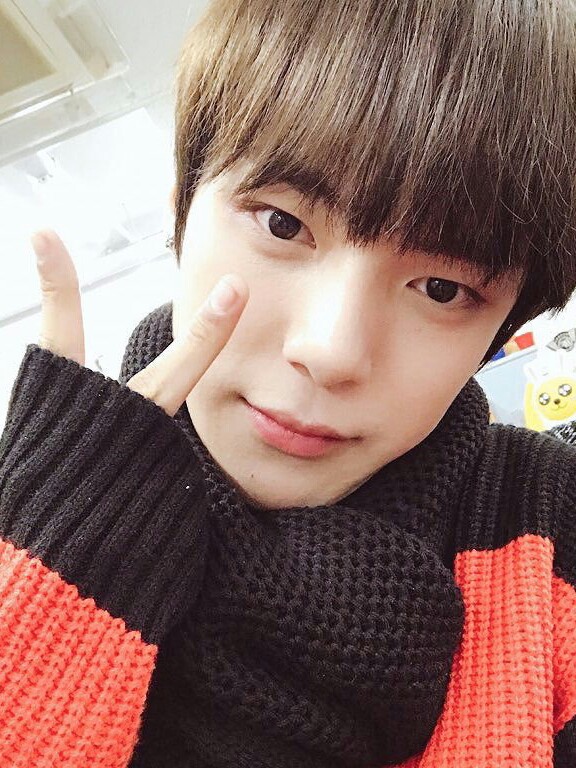 종용송 프로필