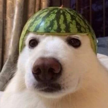 레나이 프로필