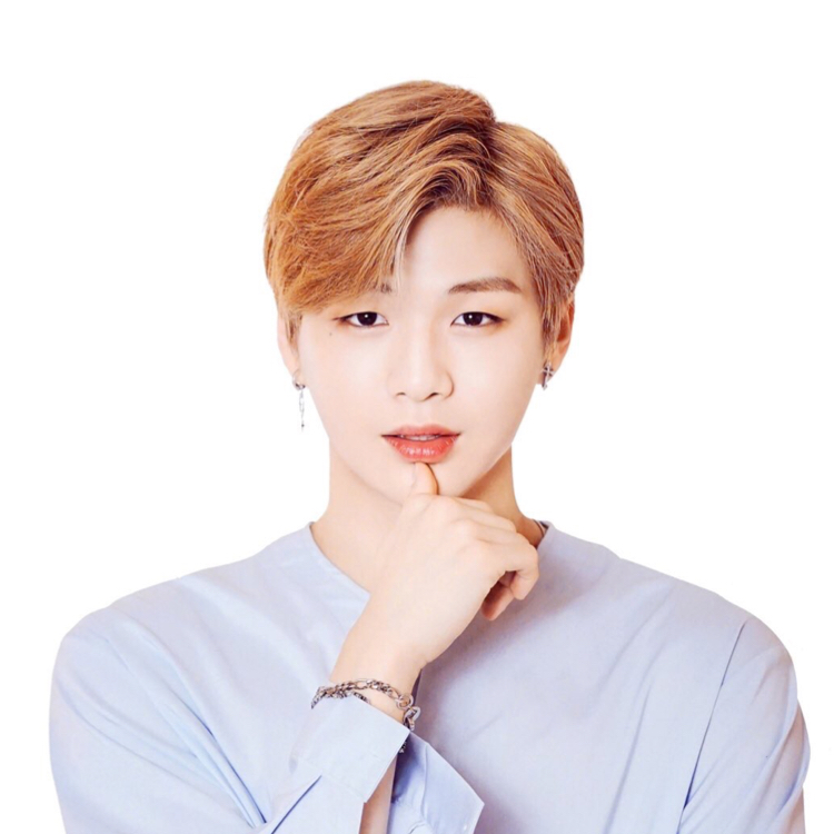 똥코스무디 프로필