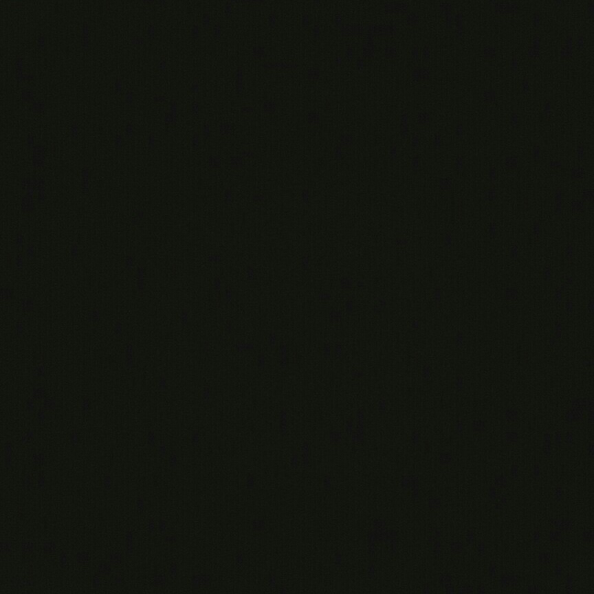 실리니 프로필