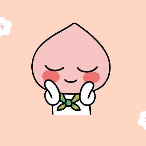 죠대닝 프로필