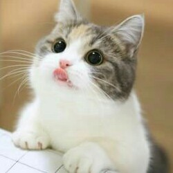 리뷰어 프로필