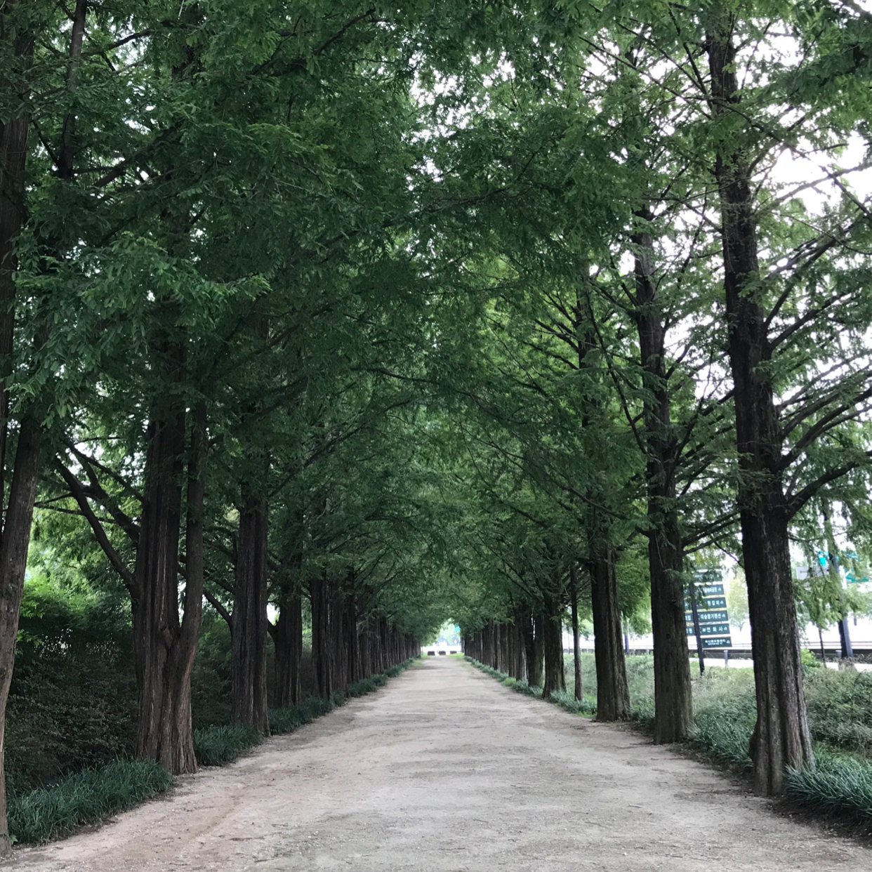 seeeung 프로필