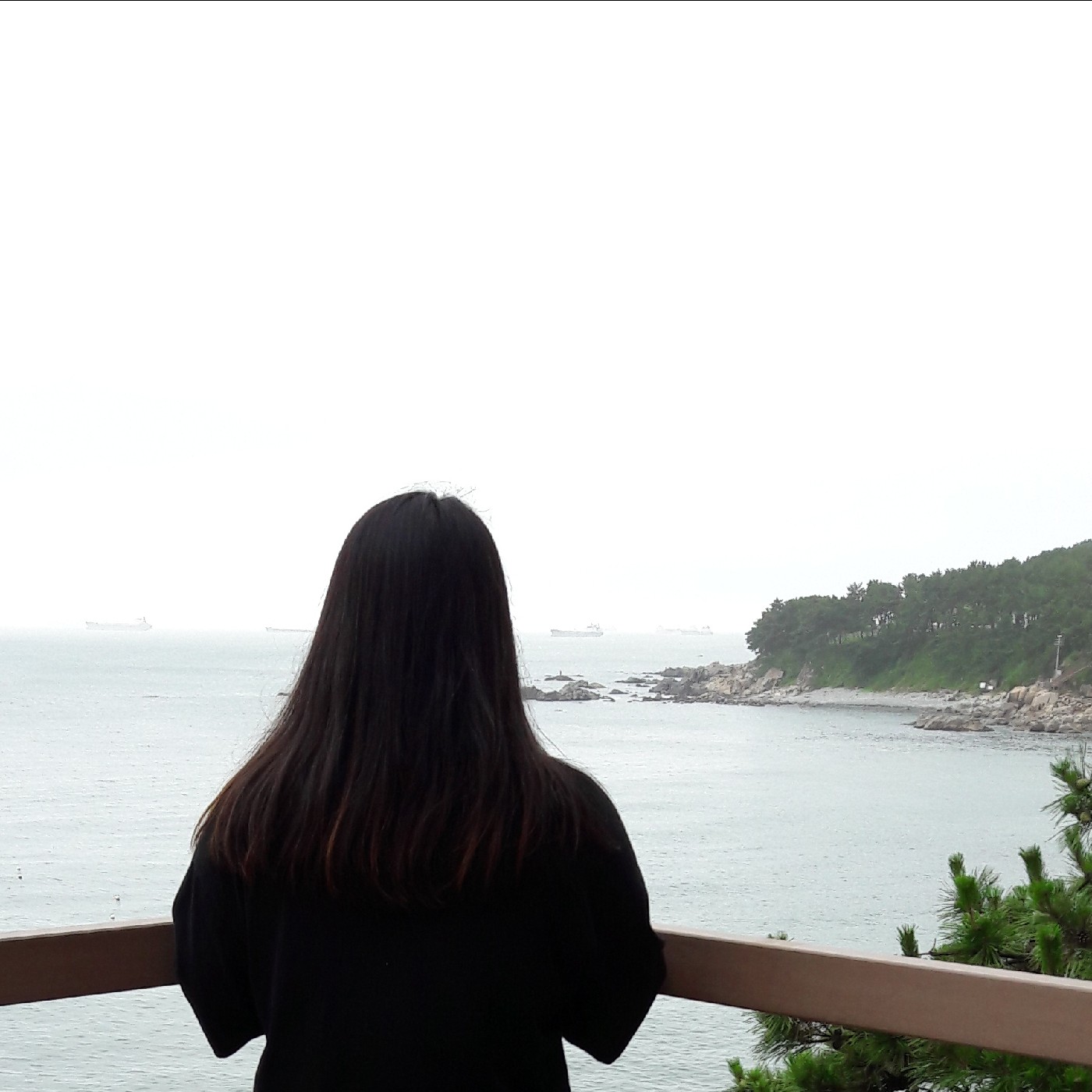 쭈랑뽕 프로필