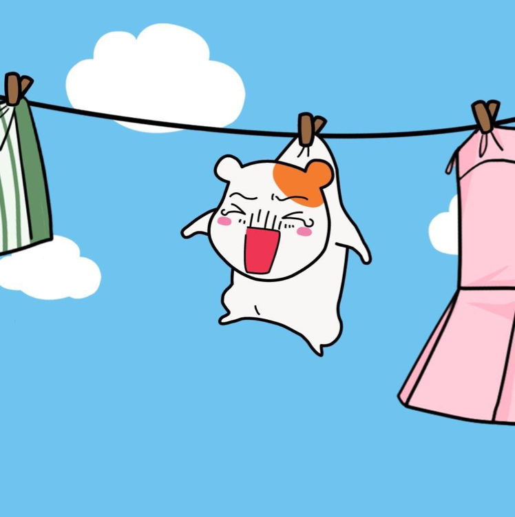 세보옹이 프로필