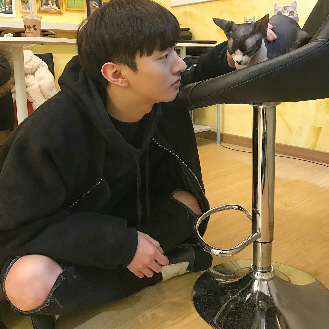 히연2 프로필