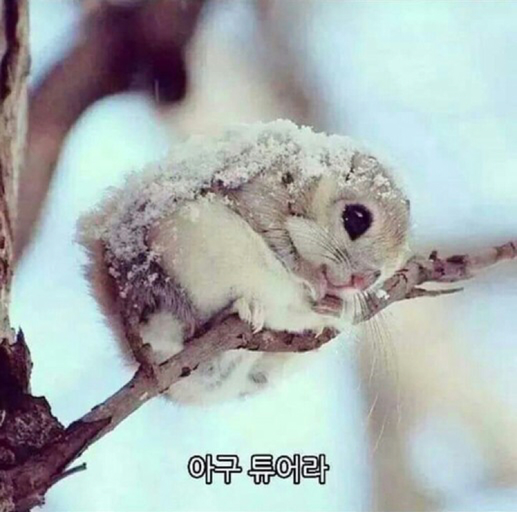 eldud4109 프로필