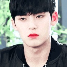 김저엉은 프로필