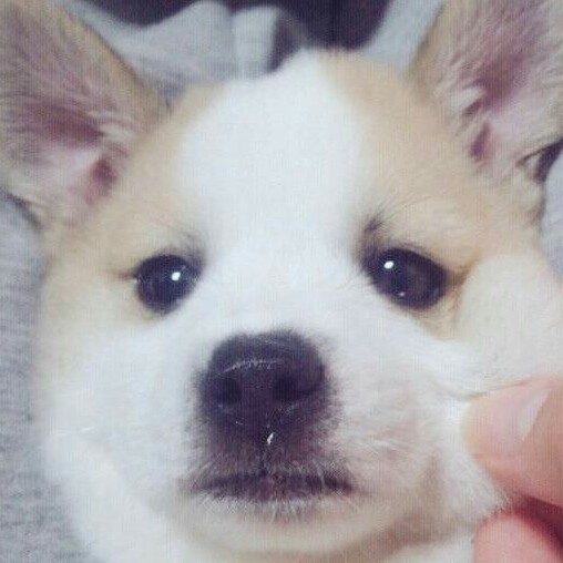 MMMMMMM 프로필
