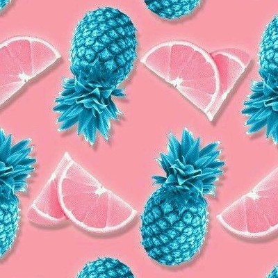 륜류 프로필