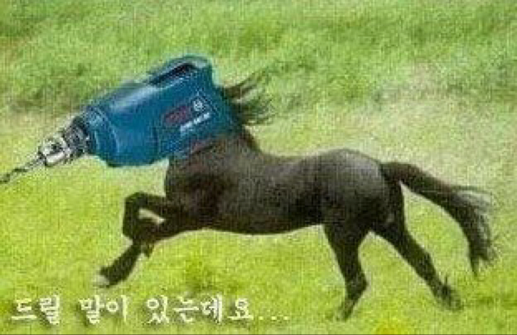 피부여신되자 프로필