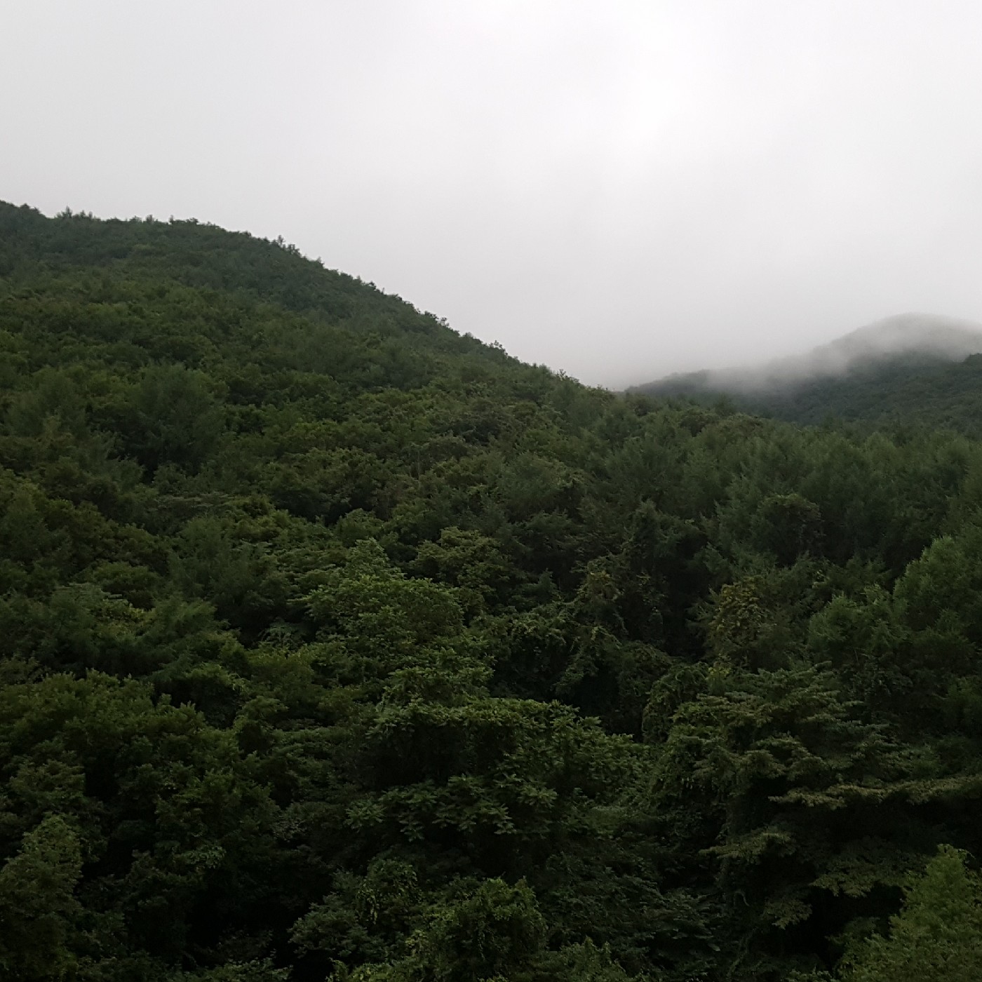 리뷰어 프로필