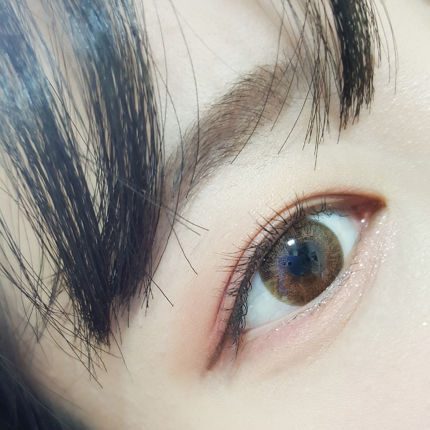 nabbetta 프로필