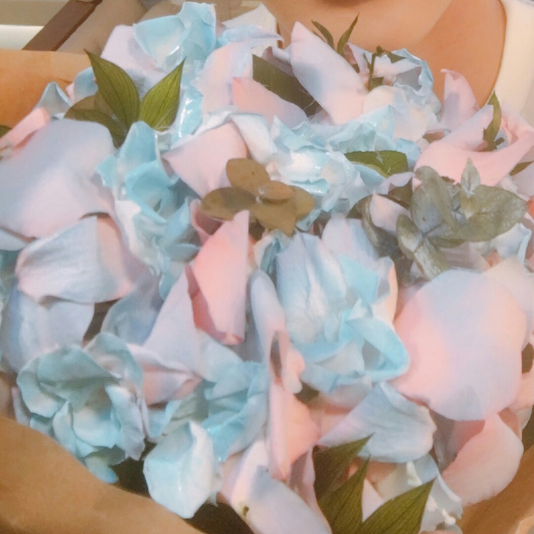8582 프로필