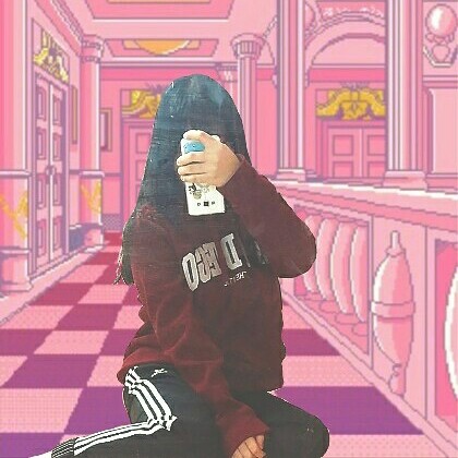 성희성희 프로필