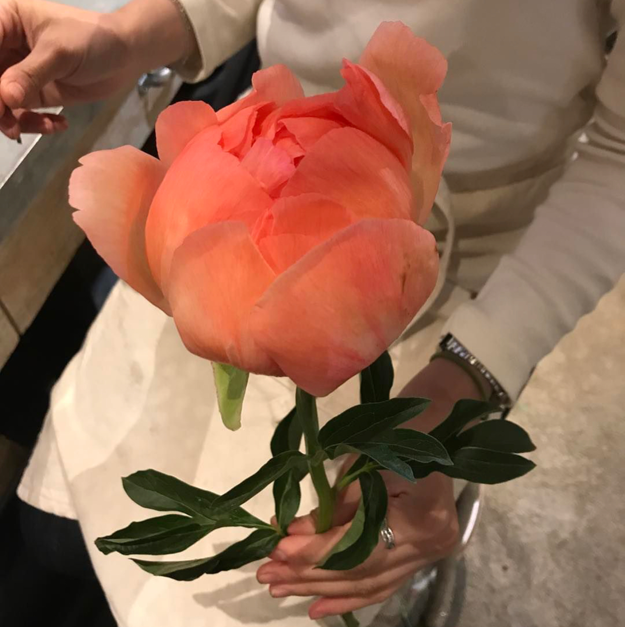 민소희 프로필
