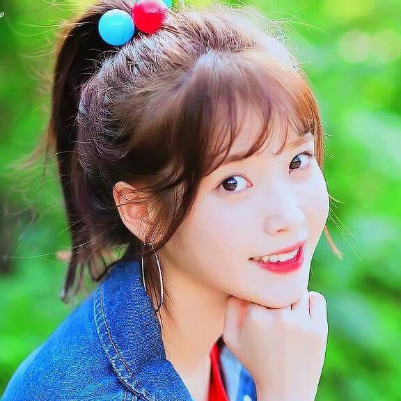 대도서관 프로필