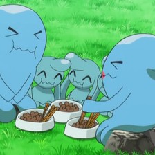 와차오 프로필